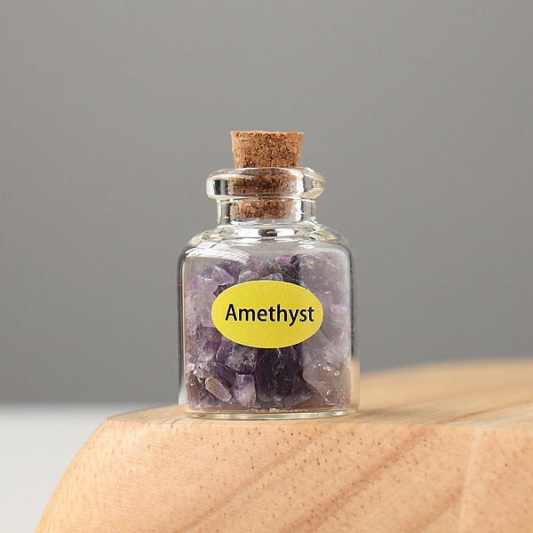 

PandaHall Natural Amethyst Display Decorations, Reiki Energy Stone Chip Wishing Bottle, 20x30mm Amethyst Bottle