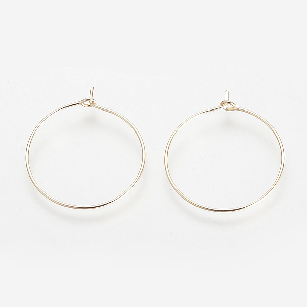 Brass Hoop Earrings - image