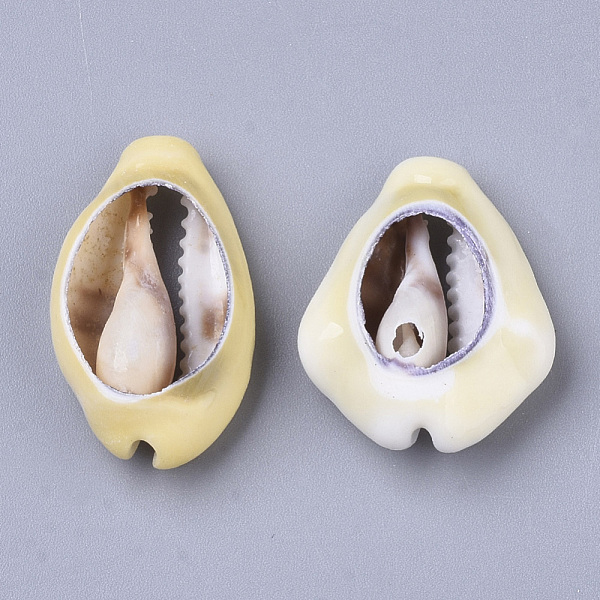 Natural Cowrie Shell Beads
