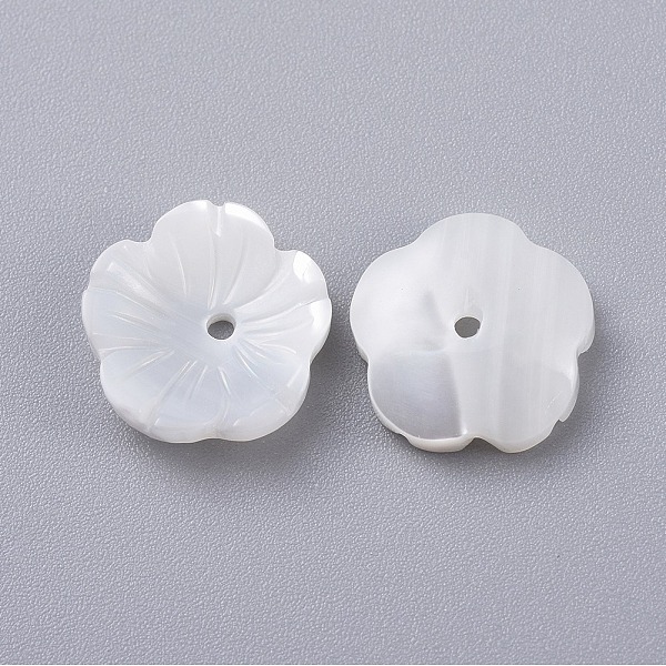 

PandaHall Natural Trochid Shell/Trochus Shell Beads, Flower, 10x3mm, Hole: 1mm Trochus Shell Flower