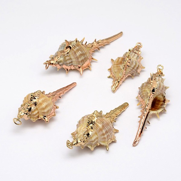 

PandaHall Golden Electroplated Conch Shell Pendants, 18~63x13~28x12~23mm, Hole: 2mm Shell Others