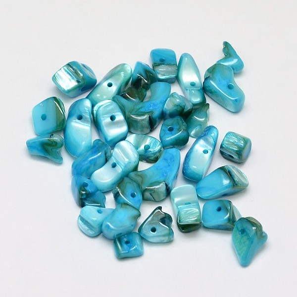 

PandaHall Dyed Natural Freshwater Shell Chips Beads, Shell Shards, Light Sky Blue, 7~11x5~8mm, Hole: 1mm, about 980pcs/500g Freshwater Shell...