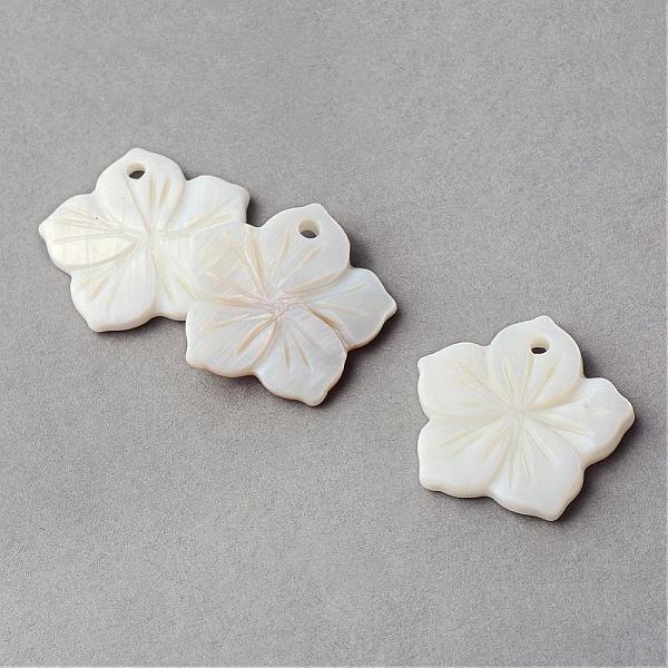 Sea Shell Pendants - image