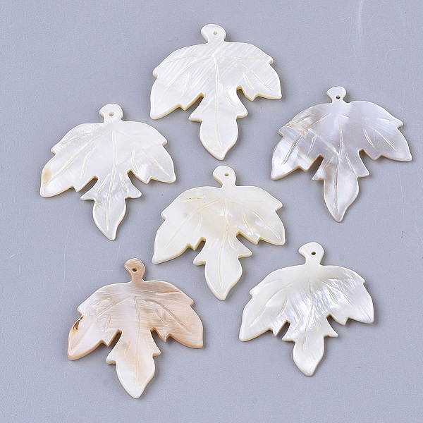 

PandaHall Autumn Theme Freshwater Shell Pendants, Maple Leaf, 32.5~34x29.5~32.5x1.5~3.5mm, Hole: 1mm Freshwater Shell Leaf