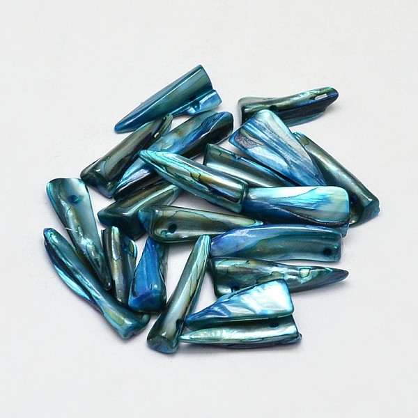 

PandaHall Dyed Natural Freshwater Shell Nugget Stick Beads, Steel Blue, 22~35x5~7x2mm, Hole: 1mm, about 510pcs/500g Freshwater Shell Stick...