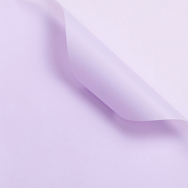 

PandaHall Solid Color Plastic Paper Flower Wrapping Paper, Waterproof Florist Bouquet Paper, DIY Crafts, Lilac, 550~580x550~580x0.05mm, 20..., Purple