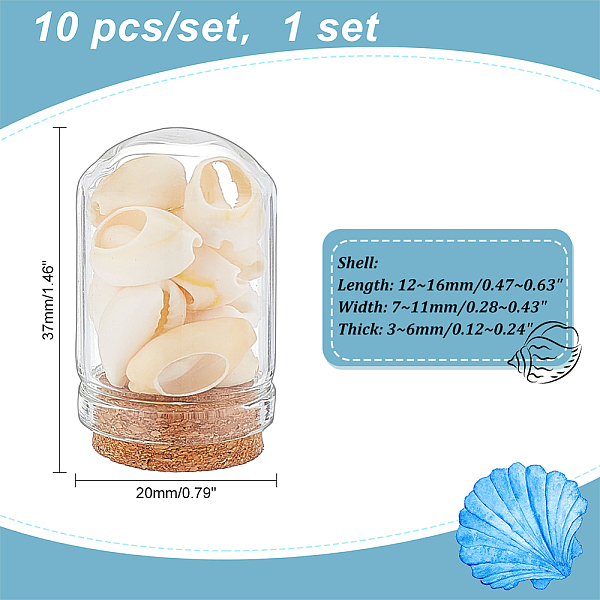 

PandaHall Arch Shape Glass Dome Bell Jar with Natural Mixed Cowrie Shell inside, for Home Decoration, PapayaWhip, 37x20mm, 10pcs/set Shell..., Orange