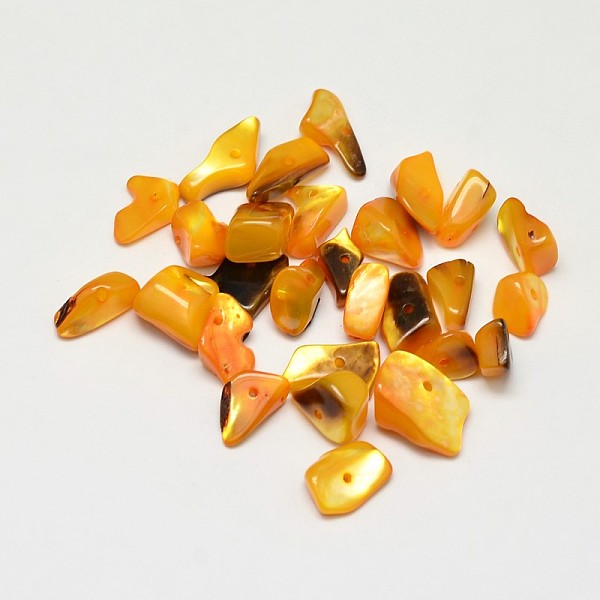 

PandaHall Dyed Natural Shell Nuggets Chips Beads, Orange, 11~16x6~9mm, Hole: 1mm, about 980pcs/500g Other Sea Shell Chip Orange