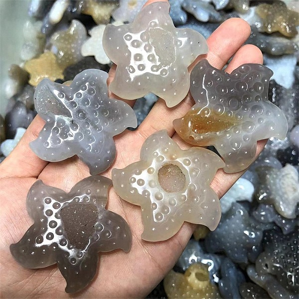 

PandaHall Natural Agate Display Decorations, for Home Decoration, Starfish, 50~60mm Natural Agate Starfish