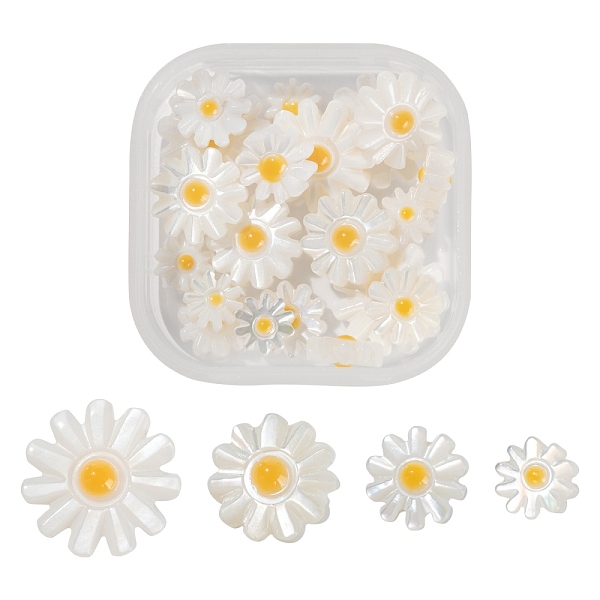 

PandaHall 20Pcs 4 Style Natural Freshwater Shell Beads, with Enamel, Flower, Mixed Color, 6~8x3~4.5mm, Hole: 0.8~0.9mm Freshwater Shell..., Multicolor