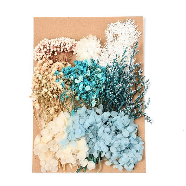 

PandaHall Dried Flower, for Bridal Shower, Wedding, Preserved Fresh Flower, Turquoise, 210x148x14~24.5mm Dried Flower Green