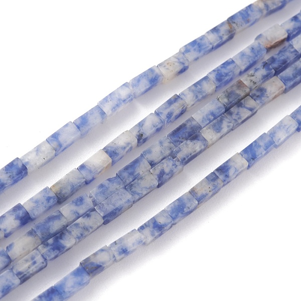 

PandaHall Natural Blue Spot Jasper Bead Strands, Cuboid, 3.5~6x2.2x2.2mm, Hole: 0.9mm, about 79~83pcs/strand, 15.04~15.24''(38.2~38.7cm)...