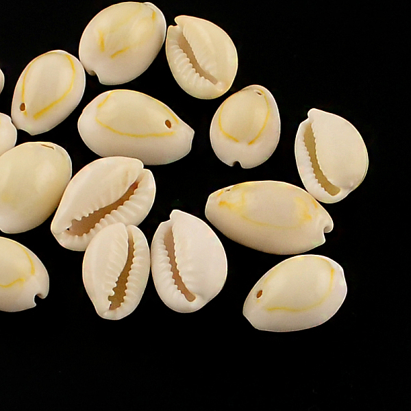 

PandaHall Natural Cowrie Shell Pendants, Oval Shell Charms, Seashell Color, 20~23x14~20x9~13mm, Hole: 1~2mm, about 400pcs/1000g(Just for...