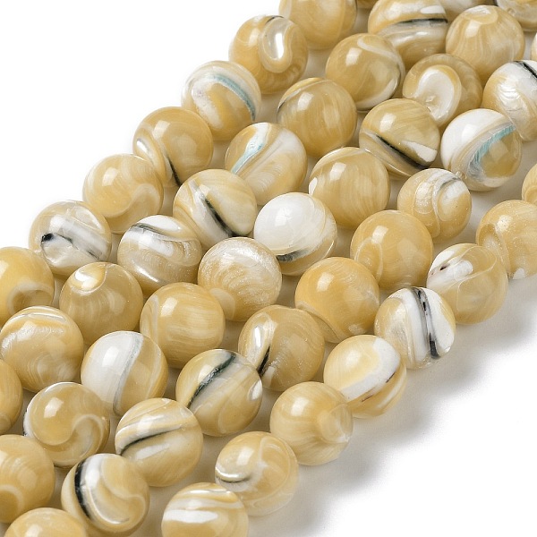 

PandaHall Natural Trochus Shell Beads Strands, Round, Goldenrod, 10~10.5mm, Hole: 0.8mm, about 38~39pcs/strand, 15.16''~15.55''(38.5~39.5cm)..., Gold