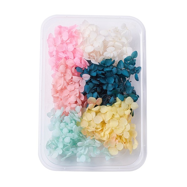 PandaHall Dried Flowers, DIY Candle Soap Making Accessories, with Plastic Rectangle Box, Mixed Color, 5.3~7x5.2~7cm Dried Flower Multicolor
