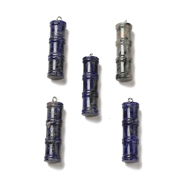 

PandaHall Natural Sodalite Pendants, Bamboo Stick Charms, with Stainless Steel Color Tone 304 Stainless Steel Loops, 45x12.5mm, Hole: 2mm...
