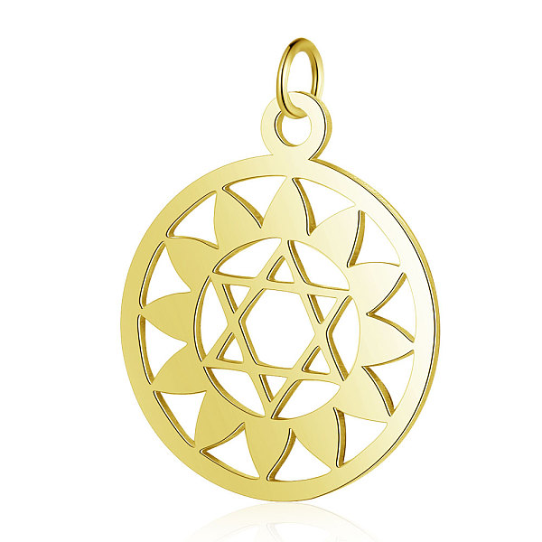 

PandaHall 304 Stainless Steel Pendants, Chakra, Anahata, for Jewish, Flat Round with Flower & Star of David, Golden, 22.5x19x1mm, Hole: 3mm...