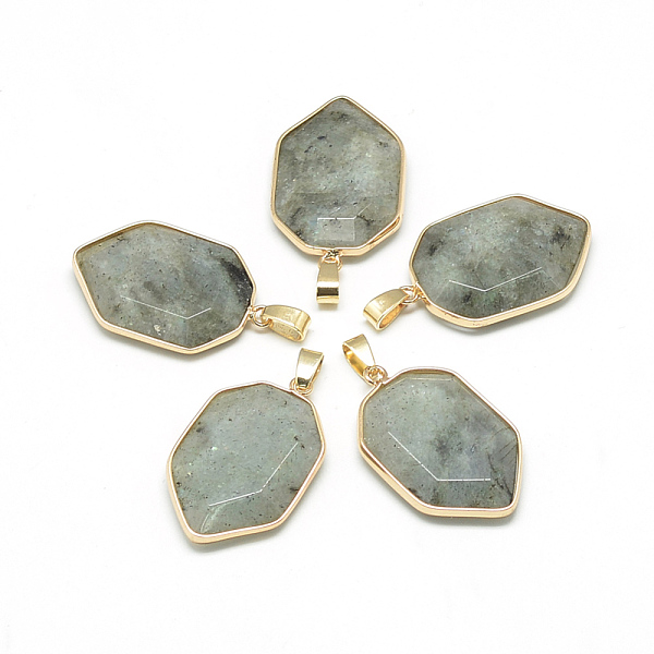 

PandaHall Natural Labradorite Pendants, with Brass Findings, Faceted, Nuggets, Golden, 36x22x7mm, Hole: 4.5x8mm Sodalite Nuggets Gray