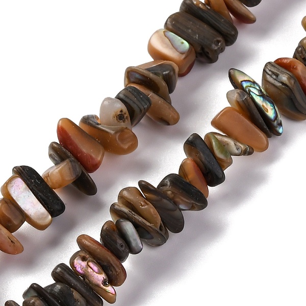 Natural Paua Shell … - image