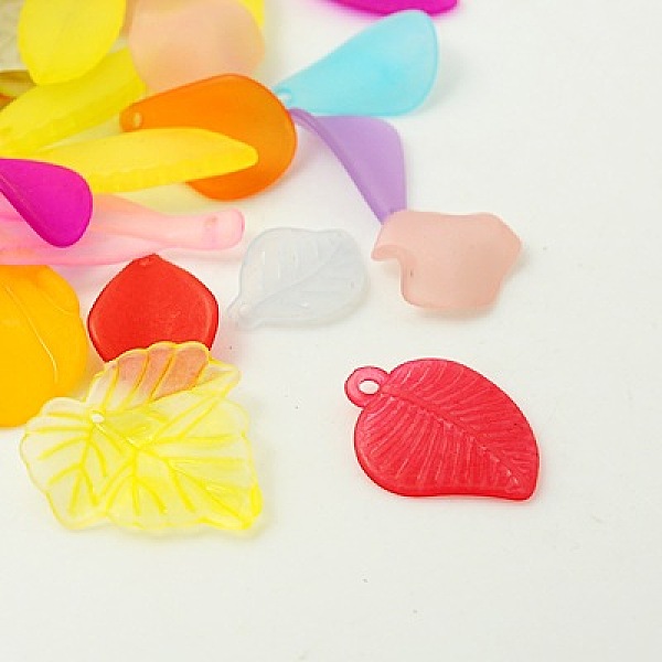 

PandaHall Transparent Acrylic Pendants, Frosted, Leaf, Mixed Style, Mixed Color, about 11~31mm wide, 16~55mm long, 2~7mm thick, hole: 1mm..., Multicolor
