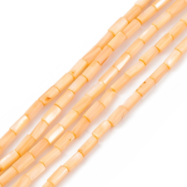 

PandaHall Natural Freshwater Shell Dyed Beads Strands, Column, PeachPuff, 8x4mm, Hole: 0.8mm, about 46pcs/strand, 14.96''(38cm) Freshwater..., Brown