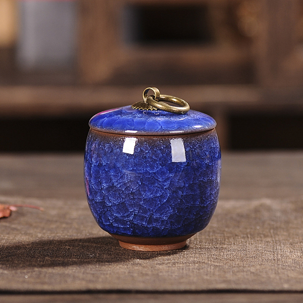 

PandaHall Column Shape Crackle Glazed Porcelain Storage Containers, Mini Tea Storage, Refillable Jar, for Tea Coffee Herb Candy Chocolate..., Blue