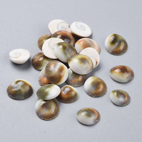 

PandaHall Natural Sea Shell Cabochons, Half Round/Dome, Colorful, 10.5~13.5x10.5~12.5x4.5~5.5mm Sea Shell Half Round