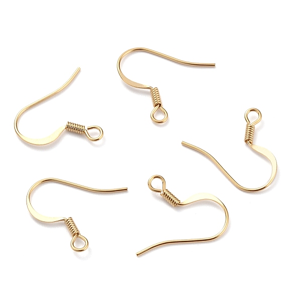 Brass Earring Hooks - image