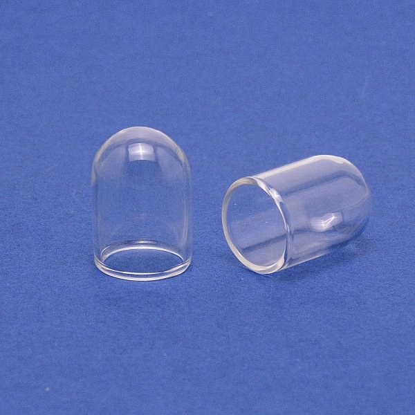 Mini Glass Dome - image