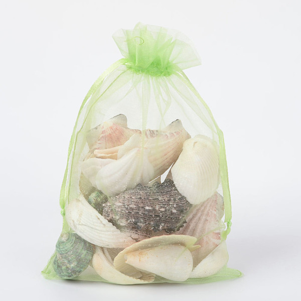 

PandaHall Organza Gift Bags with Drawstring, Jewelry Pouches, Wedding Party Christmas Favor Gift Bags, Light Green, 18x13cm Organza...