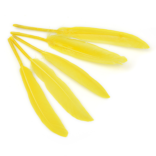 Goose Feather Costu… - image