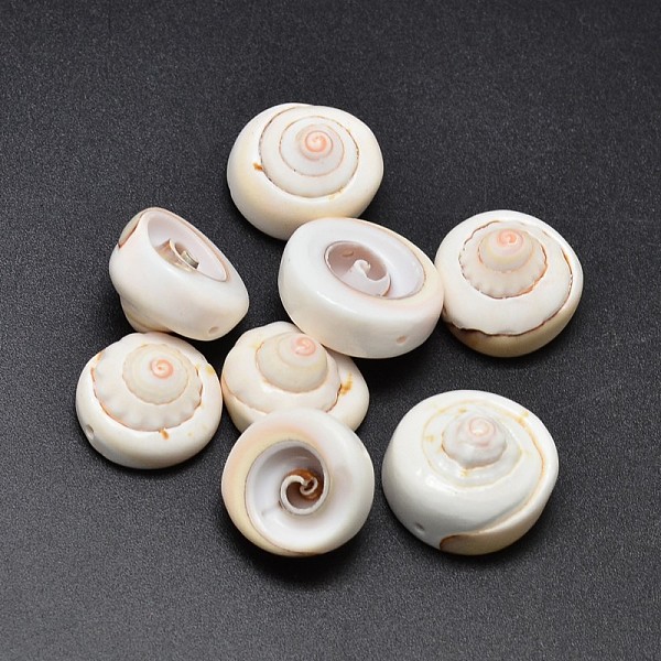 Natural Shiva Eye S… - image