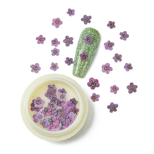 

PandaHall Paper Cabochons, Nail Art Decorations, Flower, Medium Purple, 5~7x5~7x0.1mm, 50pcs/box Paper Flower Purple