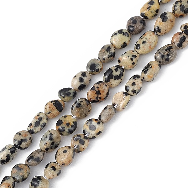 Natural Dalmatian J… - image