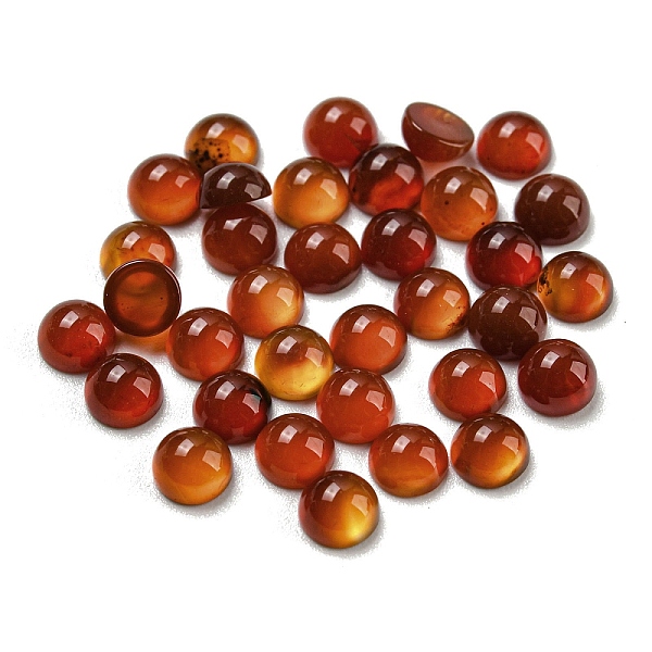 

PandaHall Natural Red Agate Cabochons, Half Round, 4x2~2.5mm Red Agate Half Round