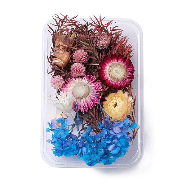 PandaHall Dried Flowers, DIY Candle Soap Making Accessories, with Plastic Rectangle Box, Mixed Color, 1.4~19x0.9~4.5cm Dried Flower...