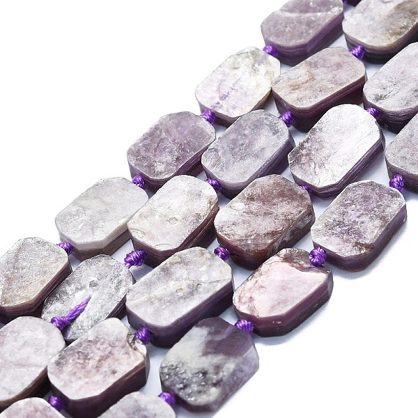 

PandaHall Natural Lepidolite Beads Strands, Rectangle, 15~17x10~13x5~7mm, Hole: 1mm, about 22pcs/strand, 15.94''(40.5cm) Lepidolite...