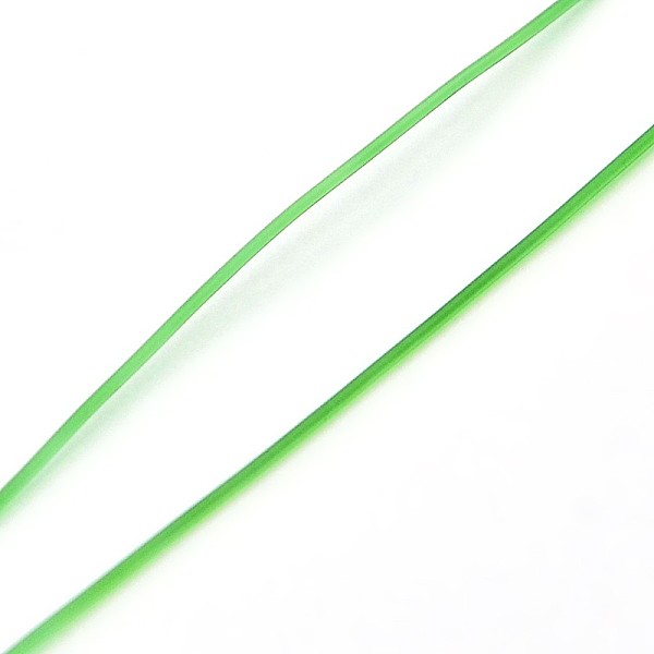 

PandaHall Korean Elastic Crystal Thread, Stretch Bracelet String, Round Beading Cord, Lime Green, 0.6mm, about 87.48 yards(80m)/roll TPU...
