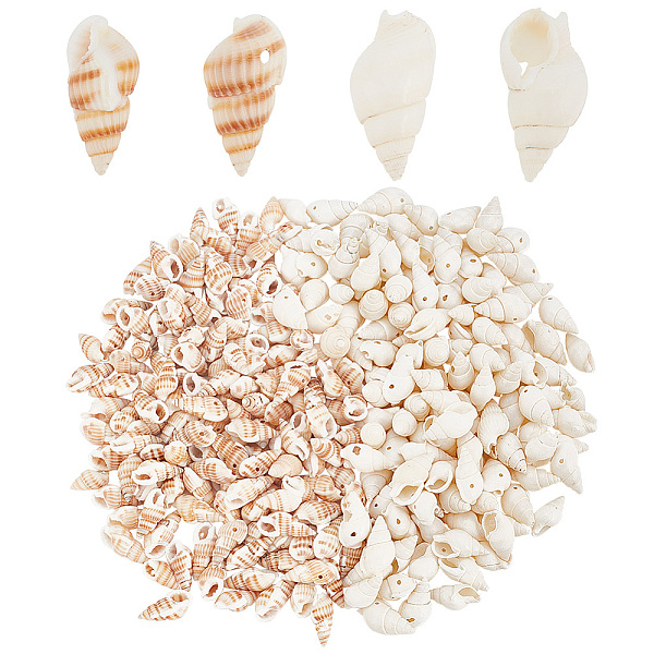 

PandaHall PH 300pcs Natural Seashell Beads 2 Styles Ocean Beach Spiral Shells Craft Sea Shells Charms with 1mm Hole for Summer Jewellery..., Multicolor