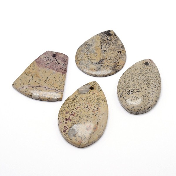 

PandaHall Natural Dendritic Jasper Pendants, Chohua Jasper, Mixed Shapes, 30~61x22~52x5~7mm, Hole: 1.5~2mm Dendritic Jasper Mixed Shapes