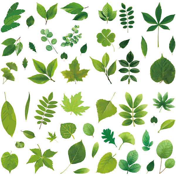 

PandaHall CRASPIRE 8 Sheets Leaf Wall Stickers Green Plant Window Clings Waterproof Self Adhesive Vinyl Wall Decals Peel and Stick for...