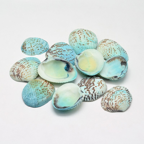 

PandaHall Dyed Natural Shell Beads, No Hole, Aqua, 32~37x20~29x8~10mm, about 100pcs/500g Other Sea Shell Shell Shape Cyan