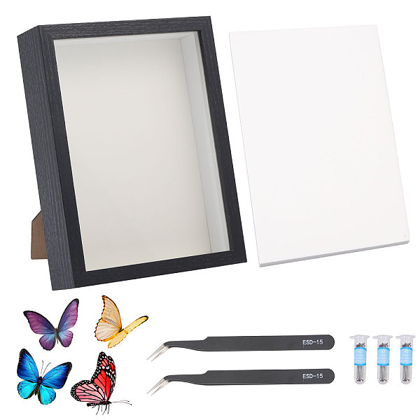 DIY Insect Specimen Display Box Kits
