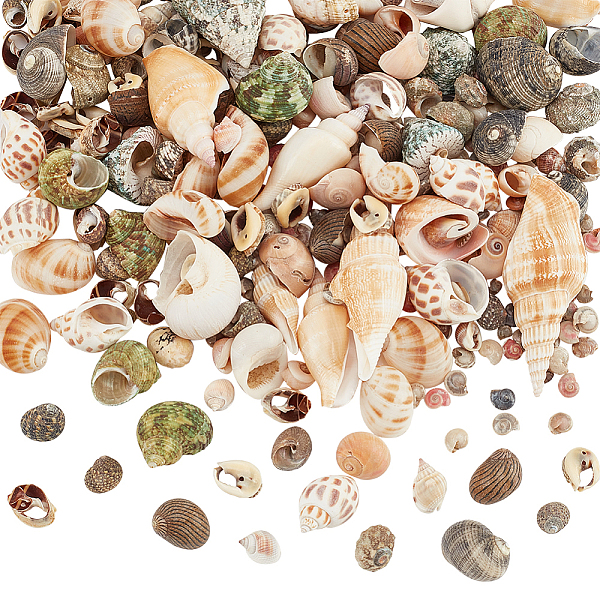 

PandaHall 300G 15 Styles Natural Mixed Shell Beads, Conch Shell & Spiral Shell Bead, Undrilled/No Hole Beads, 14~26x15~31x9~15mm...