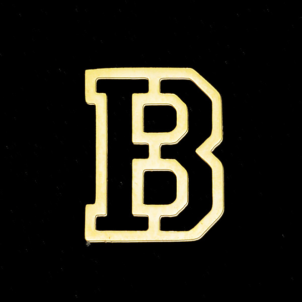 

PandaHall Vacuum Plating 201 Stainless Steel Charms, Laser Cut, Letter, No Hole, Letter.B, 12x9.5x1mm 201 Stainless Steel Letter B