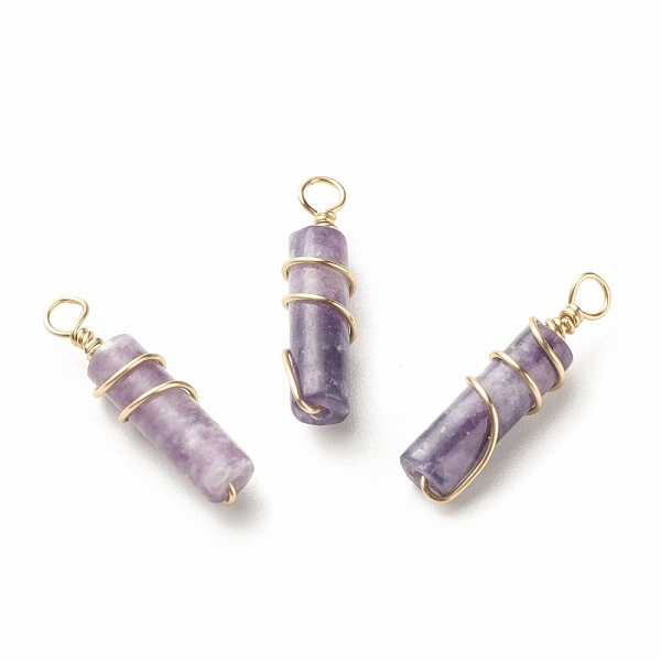 

PandaHall Natural Lepidolite Pendants, with Light Gold Tone Eco-Friendly Copper Wire Wrapped, Column, 20~21x5~5.5mm, Hole: 2.3~2.8mm...