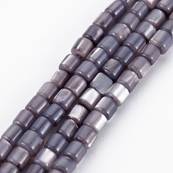 

PandaHall Natural Trochid Shell/Trochus Shell Bead Strands, Dyed, Column, Dark Slate Blue, 3x3mm, Hole: 0.8mm, about 76~77pcs/strand, 10.04...