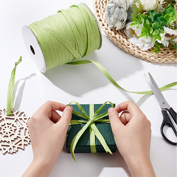 

PandaHall BENECREAT 1 Roll Raffia Paper Cords for DIY Jewelry Making, Paper Twine, Lime, 1/4 inch(8mm), 300m/roll, 1roll/set Raffia Green