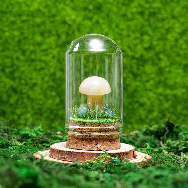 

PandaHall Glass Dome Cover with Natural Yellow Aventurine Mushroom Inside, Cloche Bell Jar Terrarium with Cork Base, Micro Landscape Garden...