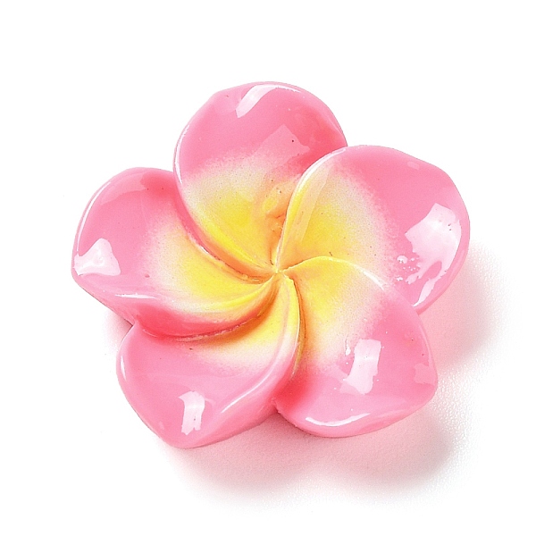Opaque Resin Caboch… - image